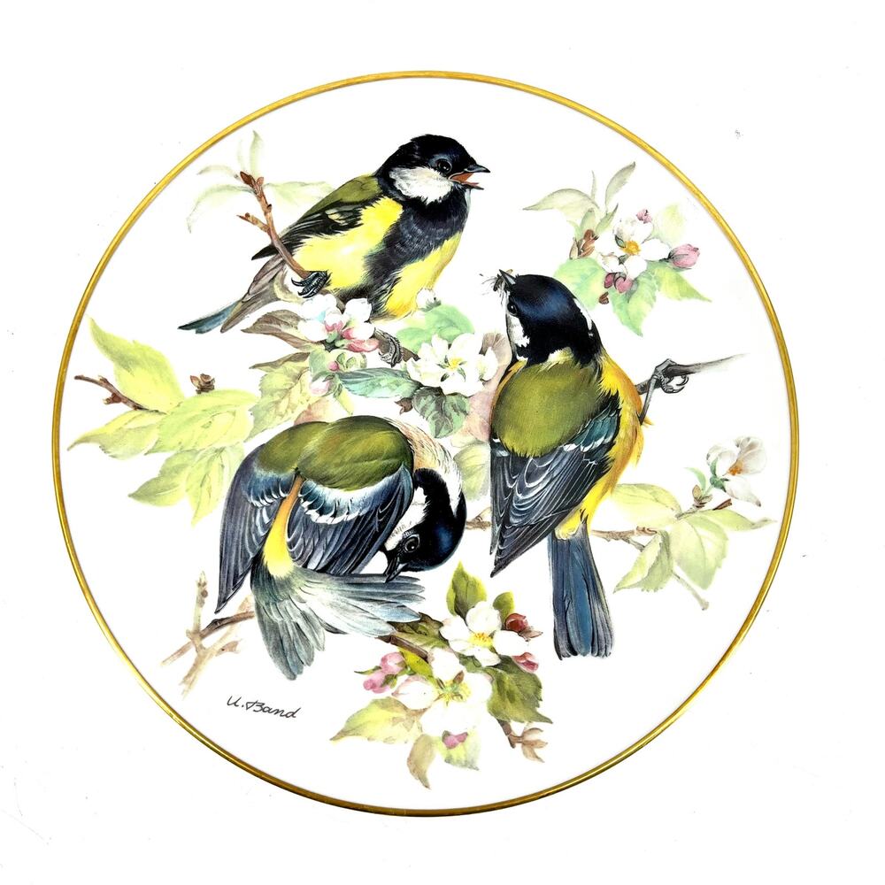 Alt Tirschenreuth WWF 1986 “great titmouse” collectible plate with certificates